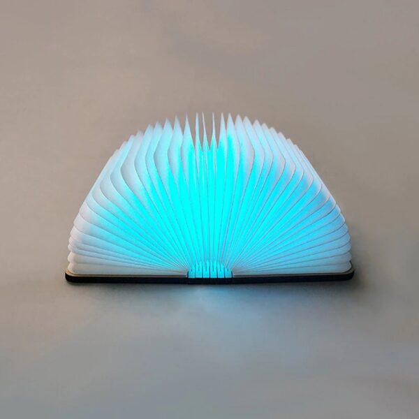 Buch Lampe LED mit Akku - Eifs